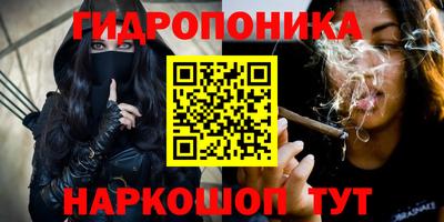 2c-b Будённовск